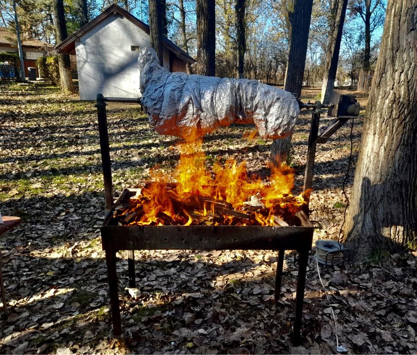 Inchiriez protap profi. electric Rotisor electric inchiriere protap