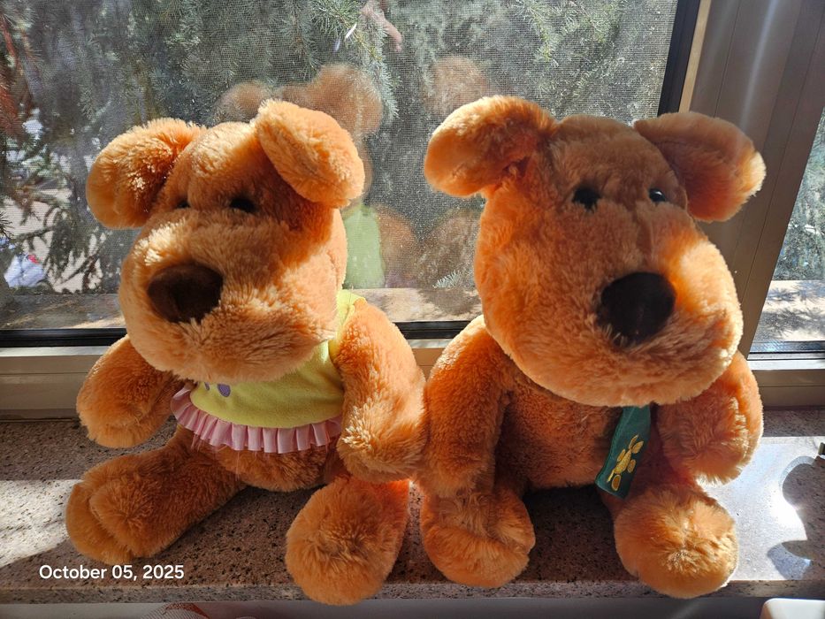 Jucarii plus Gasca Zurli - Tasha & Tashu