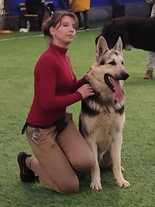 Вязка.Кобель ВЕО .