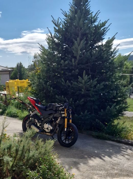 Yzf r125 2015 abs avariat