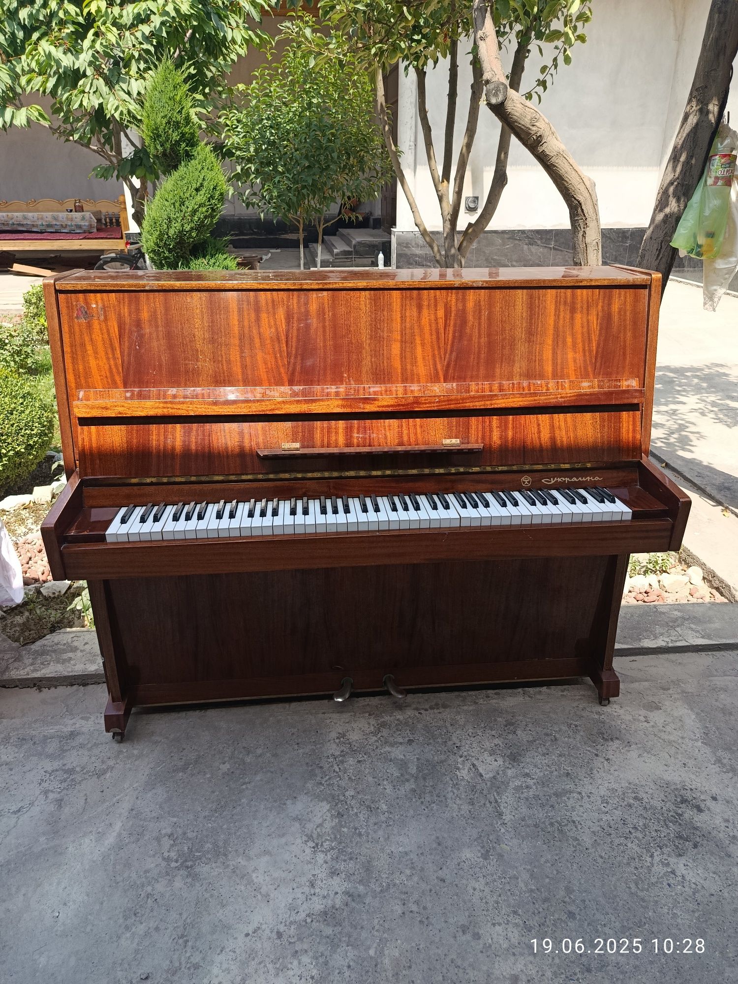 In pianinemoya sastiyanesh zur pachti nav. Manzil Samarqand Trikotajka