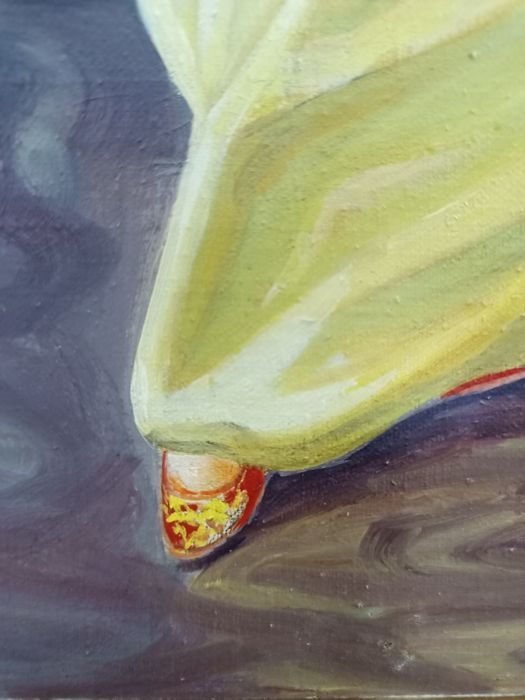 картина маслени бои Танцьорка с Даире (Ориенталски Мотив)