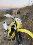 Suzuki drz 400 2008