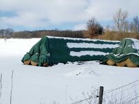 Membrana protectie paie  15.6 m x25 m 2400 lei, protectie UV