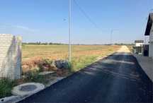 Oferta: Teren intravilan 6200 mp Ciolpani, sat Piscu | Ilfov