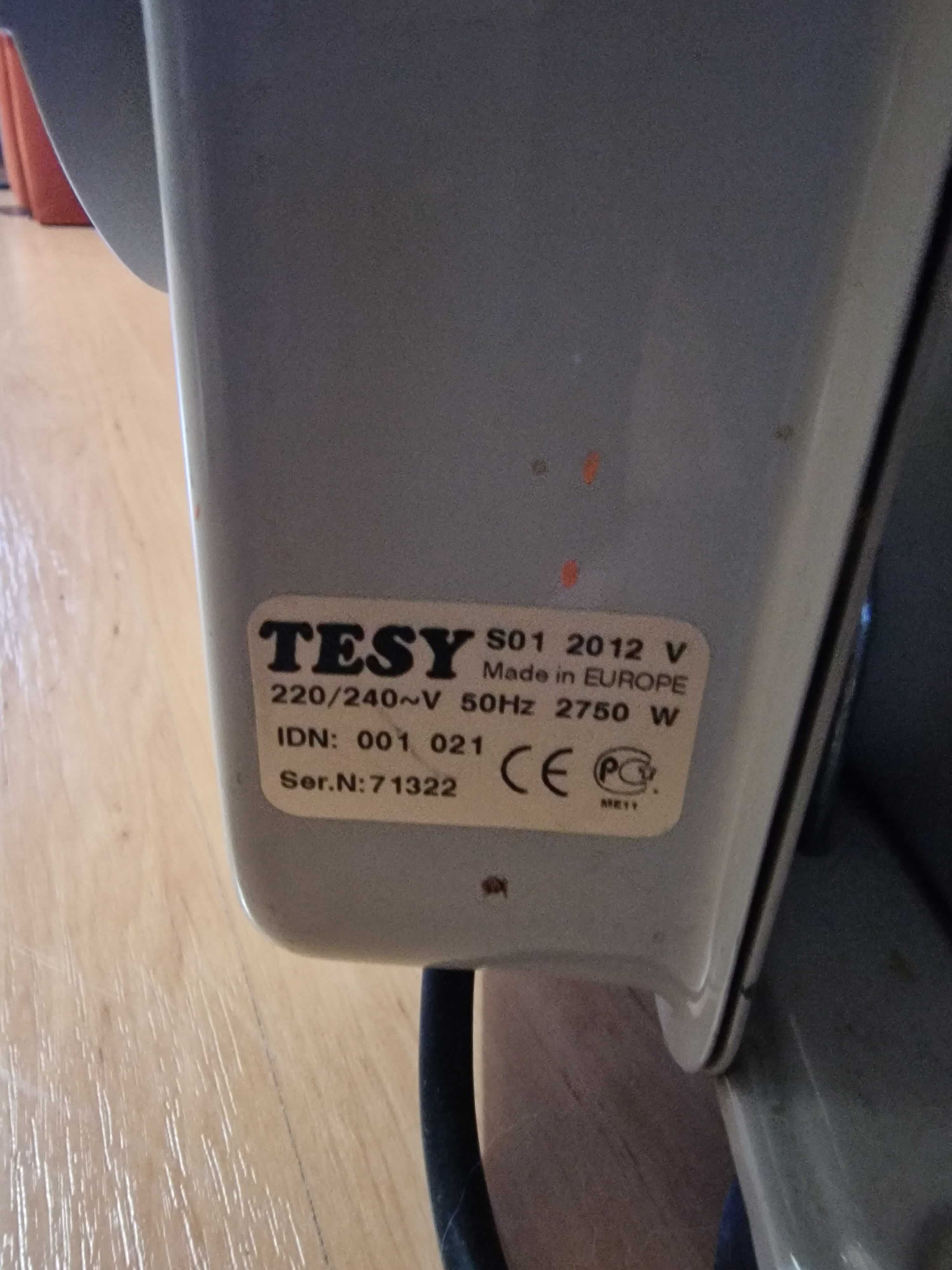 Маслен радиатор Теси