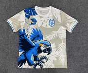Tricou nou Brazilia 2025/26 – Special Edition