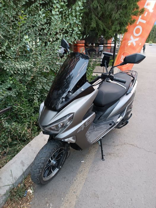 Gst tiger arzon narxda