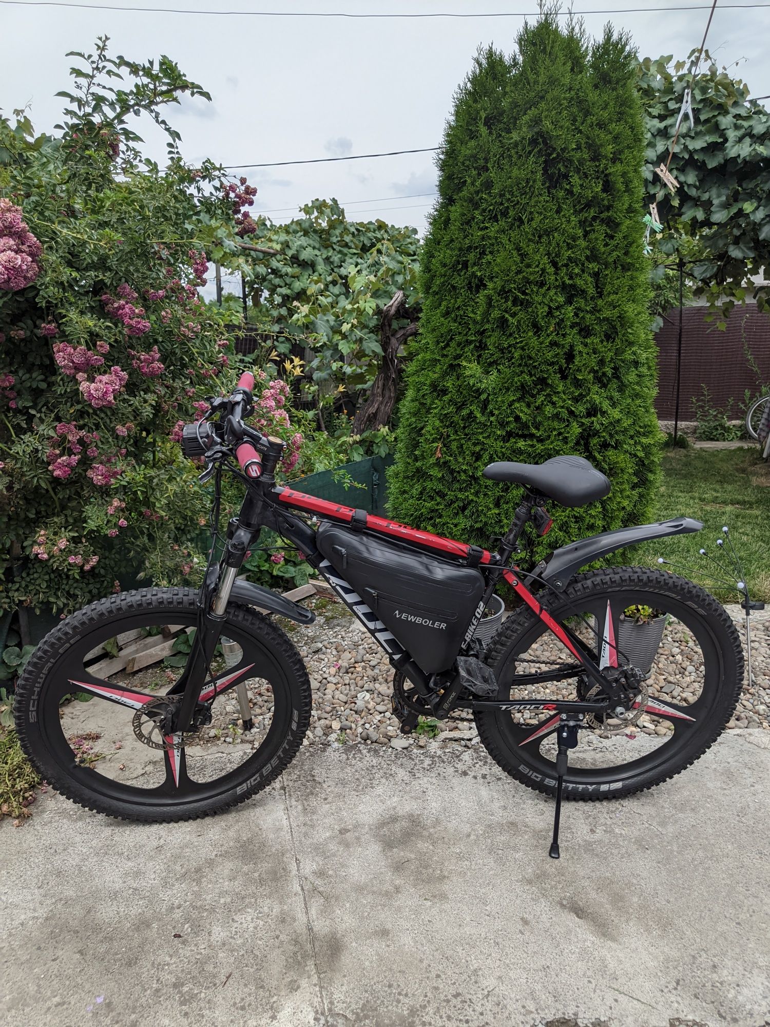 Bicicleta electrica