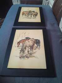 Set tablouri cu cai