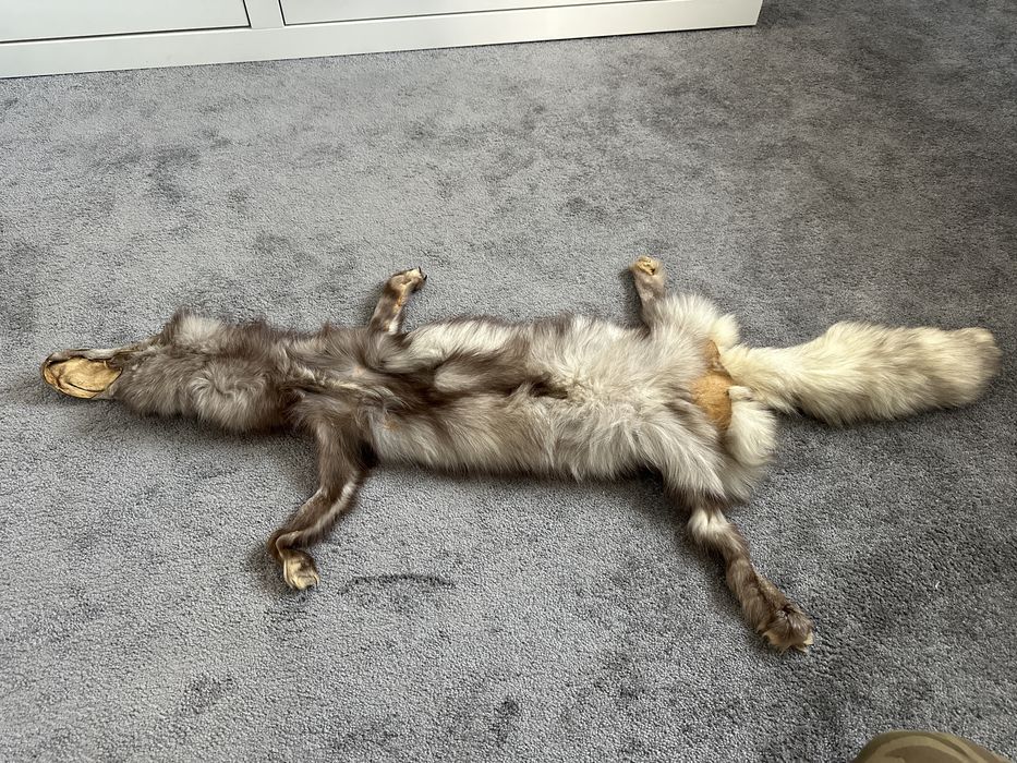 Blana vulpe argintie