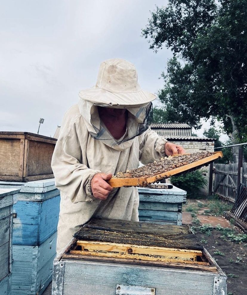 Продам натуральный подсолнечный мед с собственной пасеки