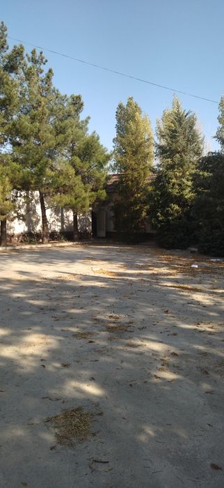 18-соток.Жомбой.Срочно продаётся участок.