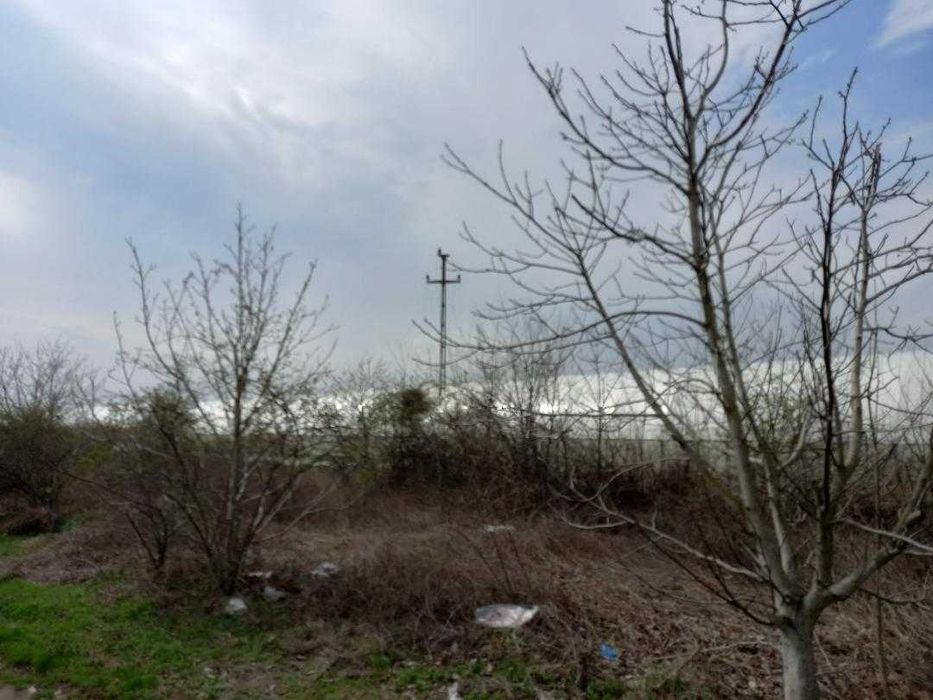 Varlaam , Adunatii Copaceni , Giurgiu - teren de la PROPRIETAR