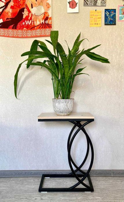 Взрослая сортовая сансевиерия Аубрутиана