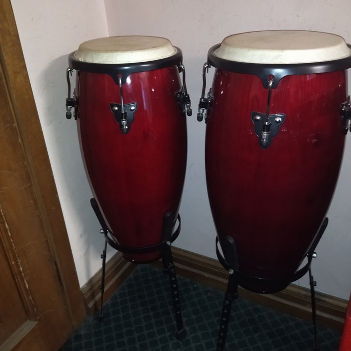 Професионални конги