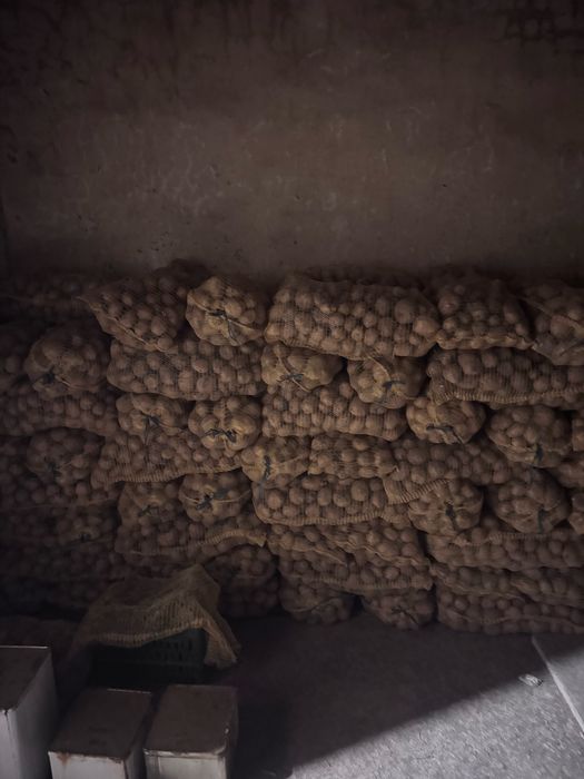 Картофи за консумация