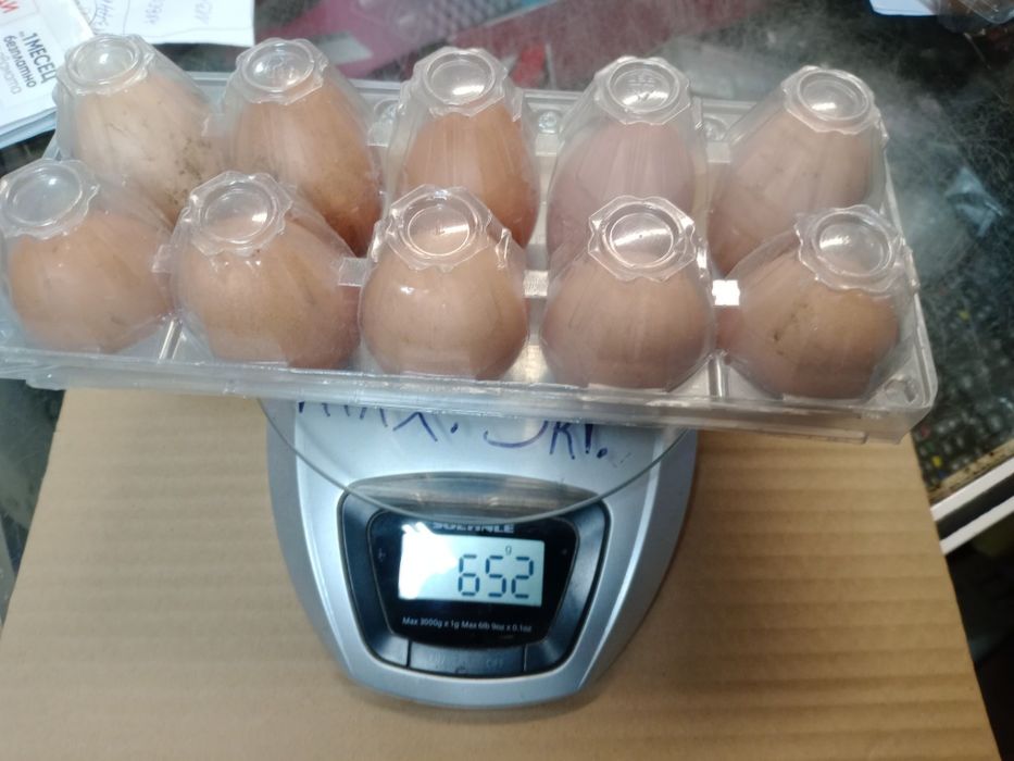 Домашни яйца от дворни кокошки