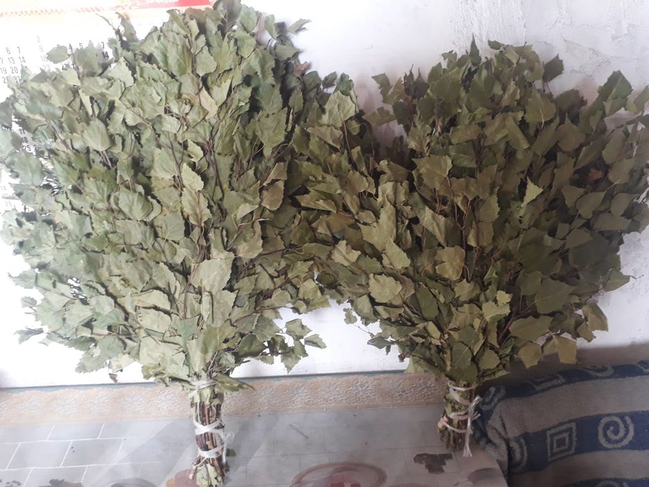 Продам веники березовые