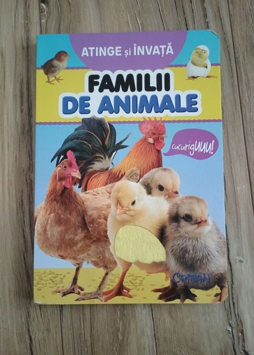 Carte cartonata bebeluși Atinge și Invata