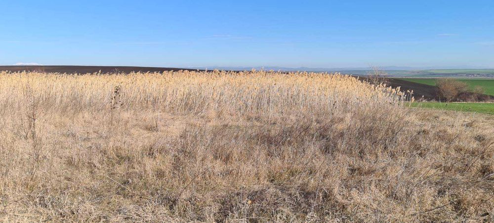 Земеделска земя - безплатна оценка за страната, може и по телефона