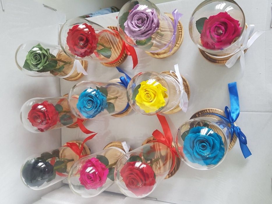 Cadou trandafir criogenat cupola sticla