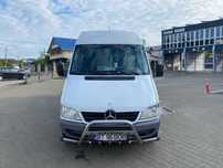 Sprinter 313 , 129 cp+soft profesional, 8+1 locuri