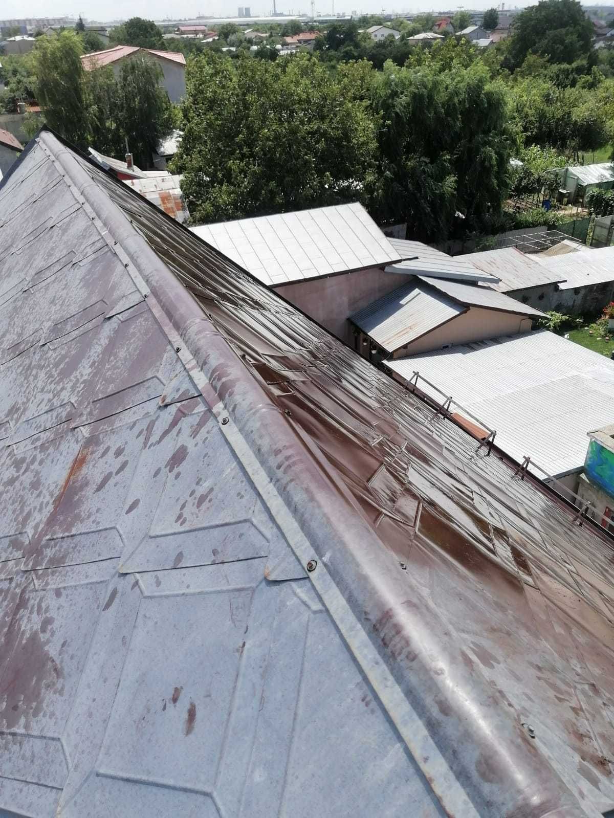 Vopsim orice tip de tabla pe casa, garduri, porti si alte suprafete