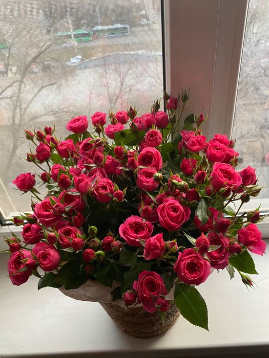 Гүл Бесплатно доставкамен