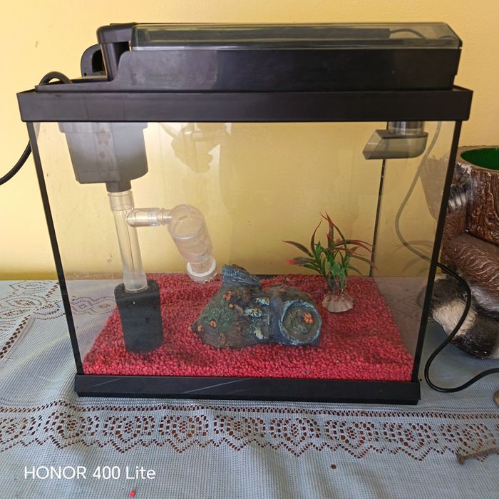 Vând acvariu   prețul este negociabil