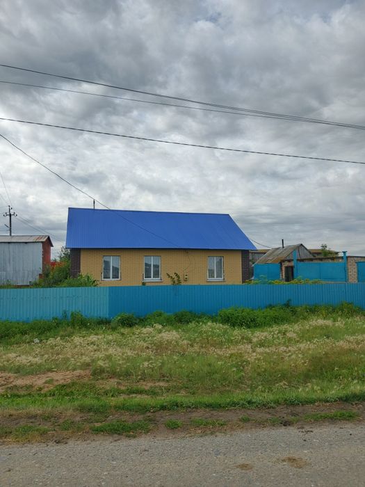 Дом с земельным участком с. Пеньково