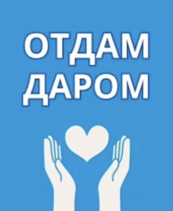 Отдадим вещи даром