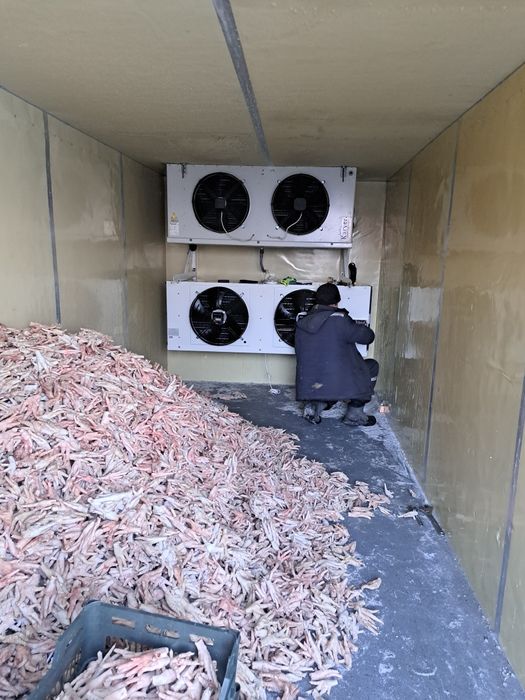 Реф контейнера холодильные марозильные