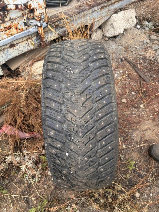 Зимний шипы сатылады