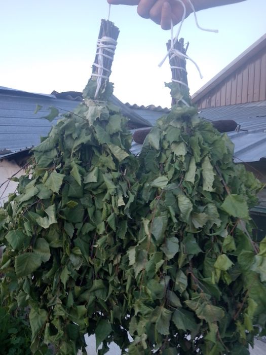 Банные веники берёзовые