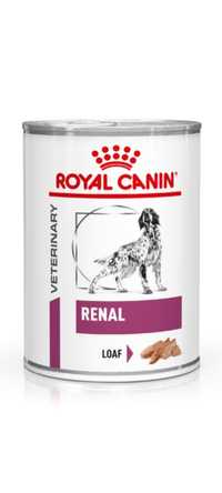 Royal Canin renal caine