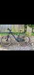 Scott Spark 970 an 2024