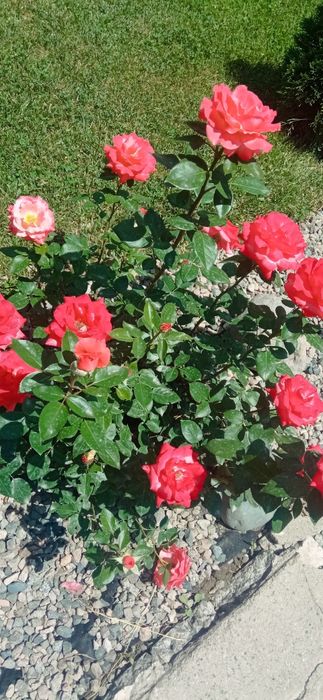 Продам дачу в хорошем месте рядом озеро