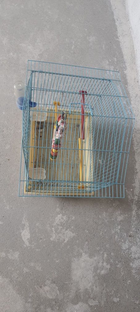 Клетка за птици оборудвана