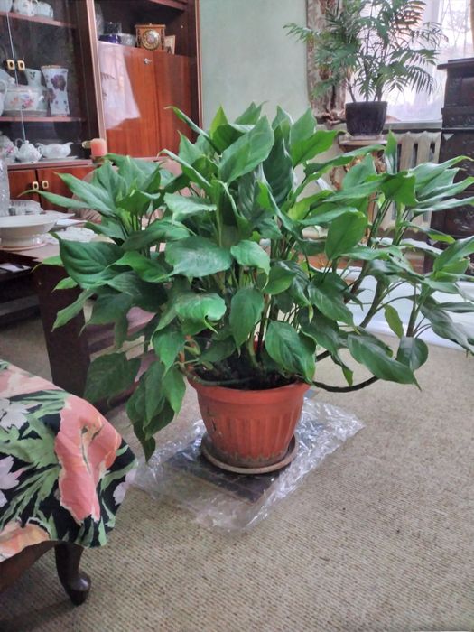 Продаётся. Комплектация