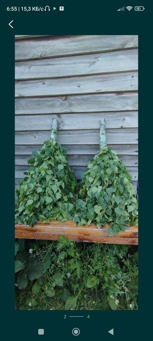 Продам.березовые веники.