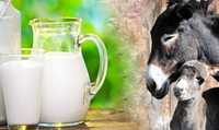 Vând lapte de măgăriță - Premium