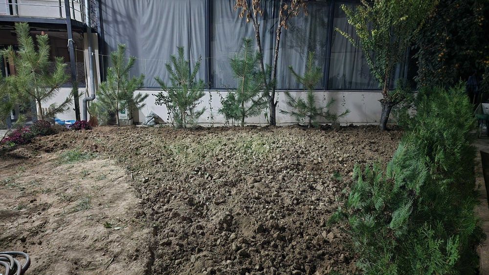 Продам Гест Хаус и  готовый бизнес! Кадастр готов к оформлению