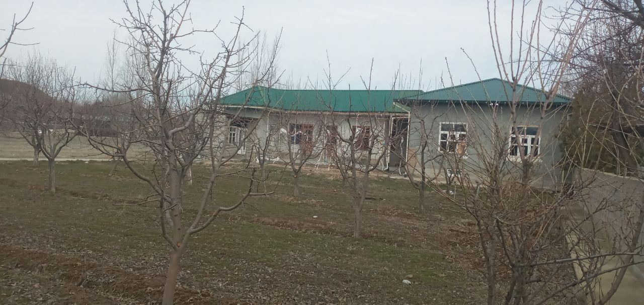 Hovli 10 sotix, 4 xona, mevali daraxtlari bilan...