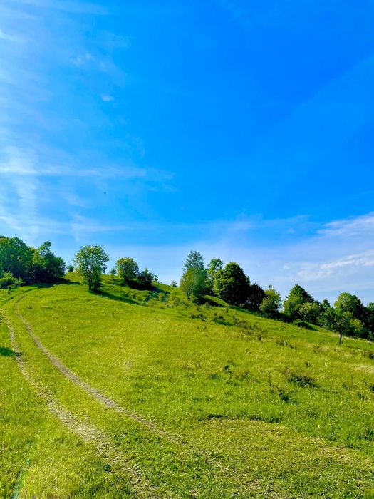 Terenuri extravilane de vânzare – Cozieni, jud. Buzău