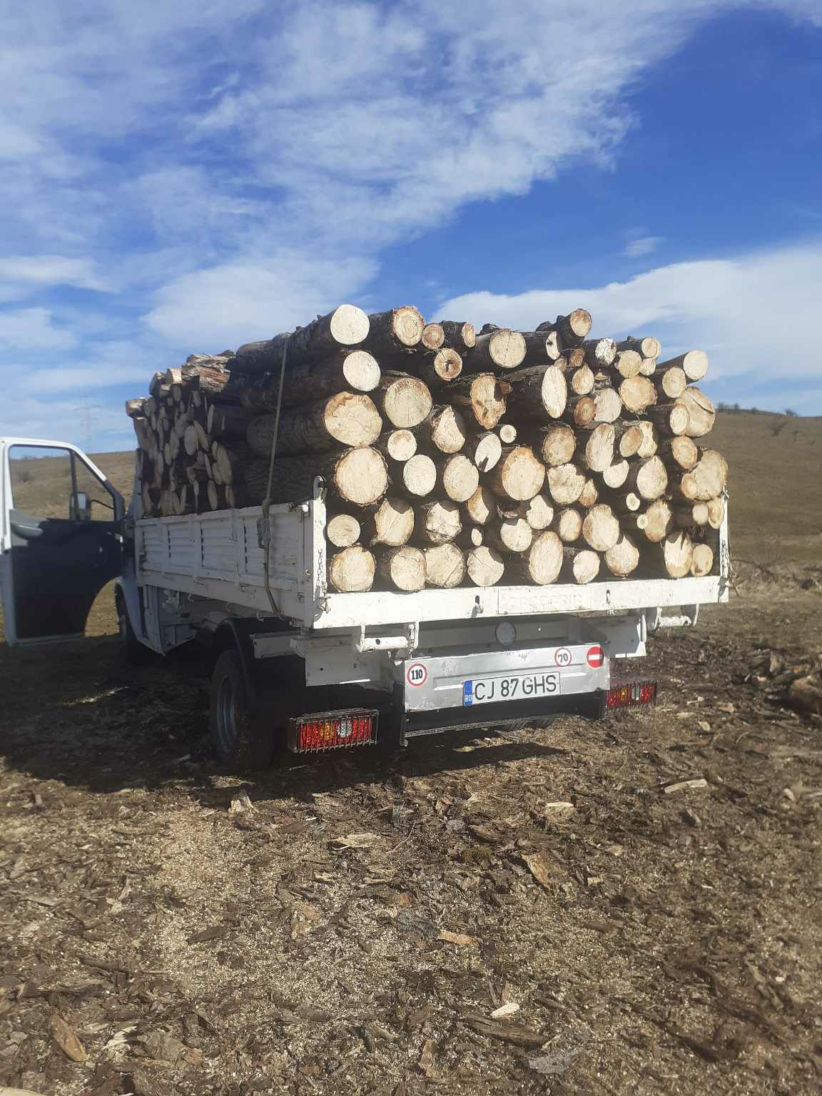 Lemne de foc la 250 metru esență  moale  .