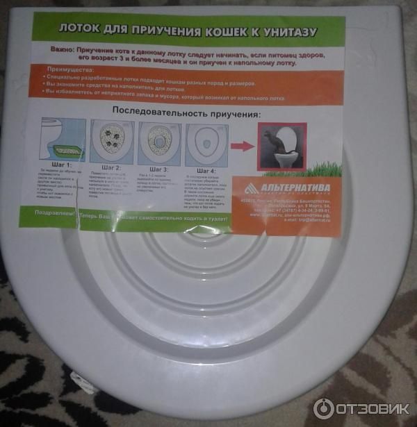 Лоток для приучения кошек к унитазу. Доставка.
