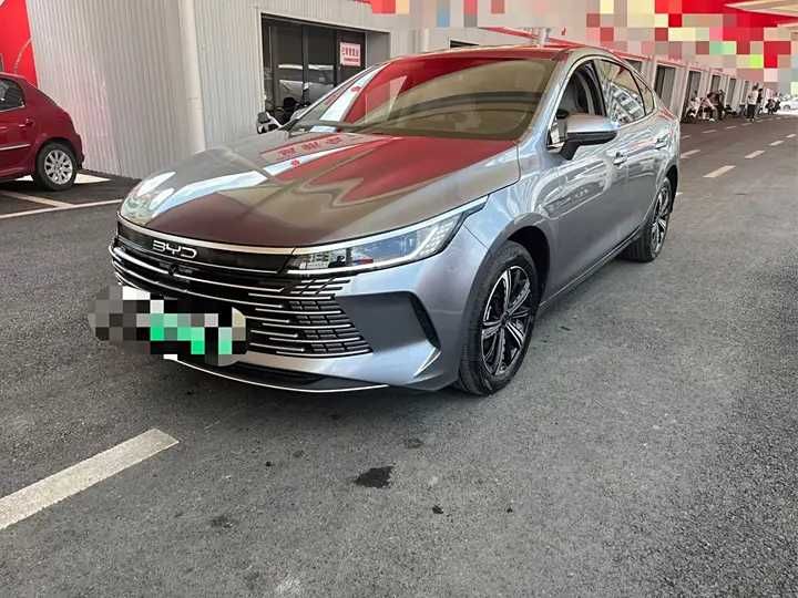 BYD Chazor Honor edition 120km Premium type