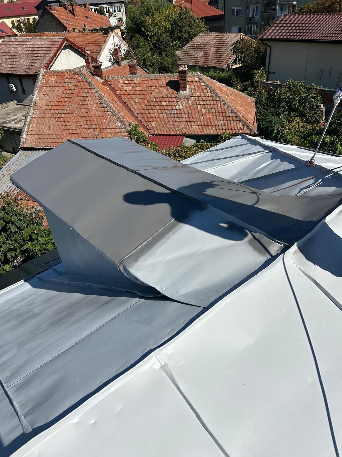 Vopsire acoperiș