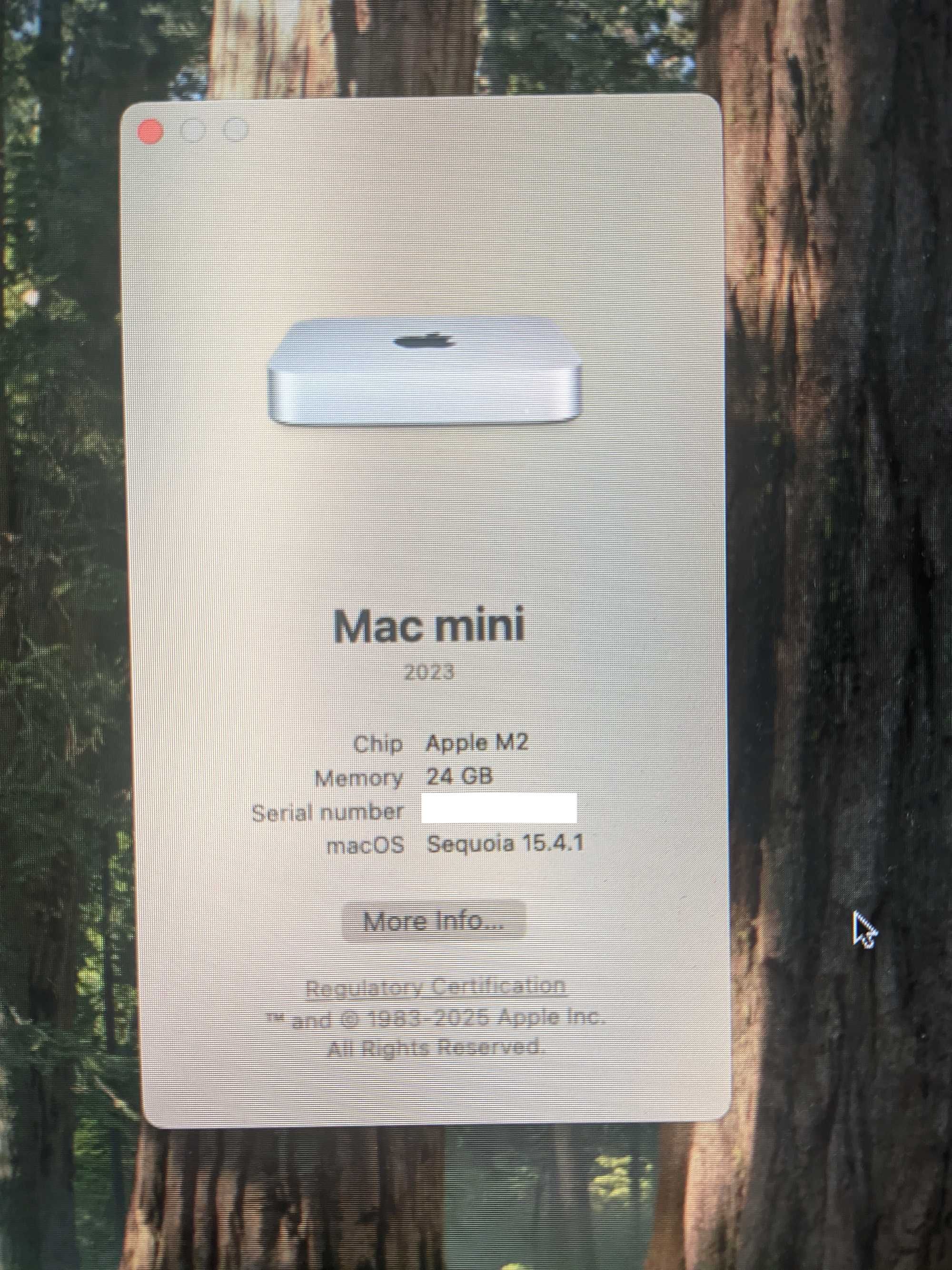 Mac mini M2 24GB RAM 256GB SSD